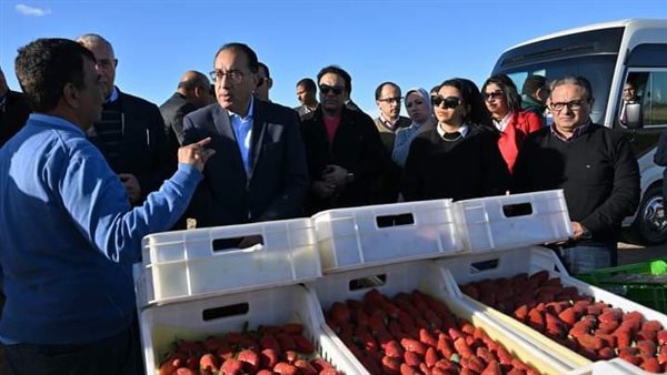 رئيس الوزراء 