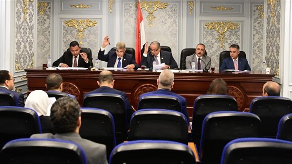 لجنة الشئون الدستورية