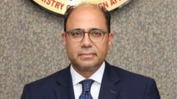 متحدث الخارجية 