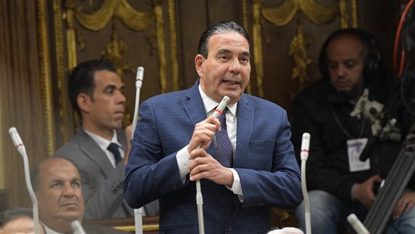 أيمن ابو العلا