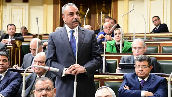 النائب ايهاب الطماوي