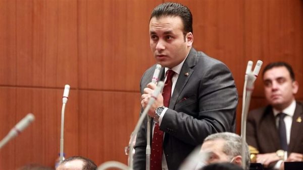 النائب عمرو فهمي