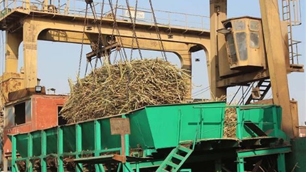 مصنع أبو قرقاص