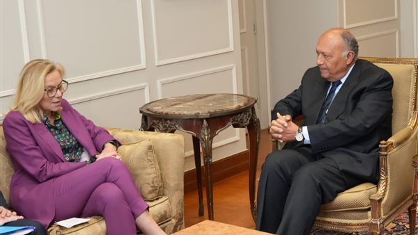 وزير الخارجية المصرية