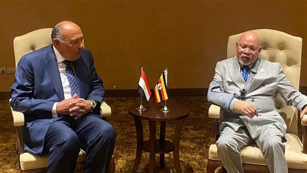 سامح شكري - القائم