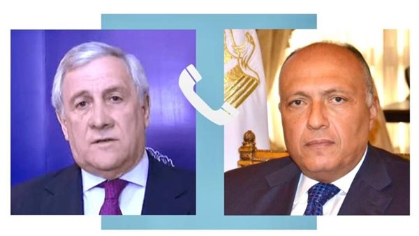 وزير الخارجية المصري