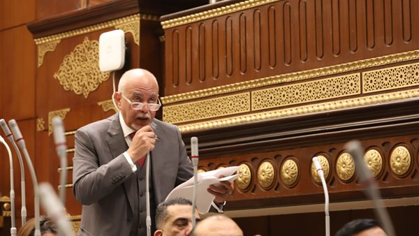 النائب حازم الجندي