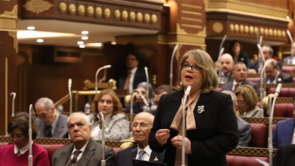 فيبى فوزى وكيل مجلس