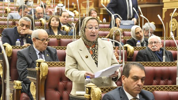 النائبة حياة خطاب