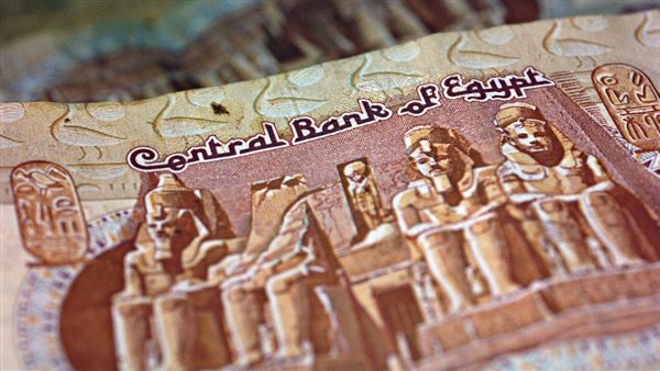 حقيقة تعويم الجنيه