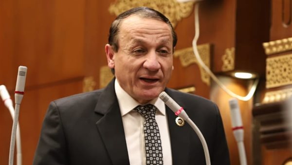 النائب أيمن عبدالمحسن