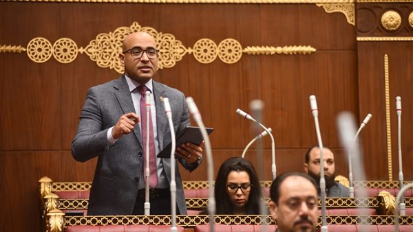 النائب علاء مصطفى