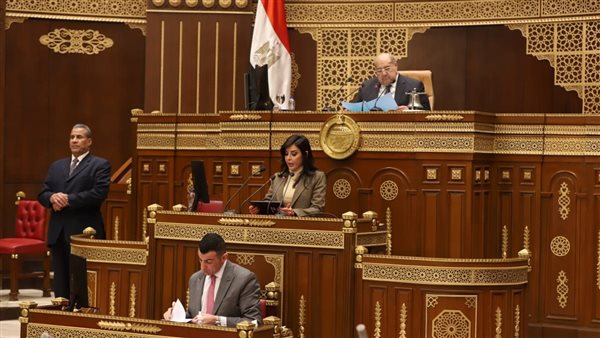 النائبة يسرا أباظة