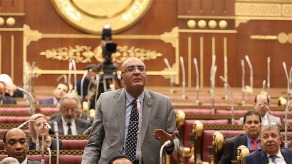 النائب عمرو عزت 