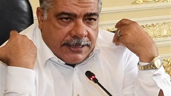 النائب معتز محمود