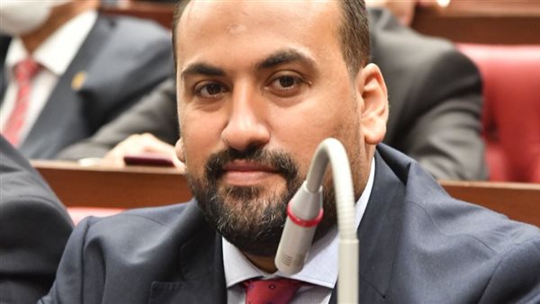  النائب محمد الرشيدي