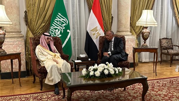 سامح شكري- الأمير