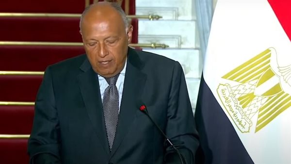 وزير الخارجية المصري