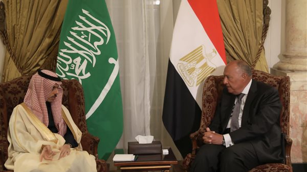 سامح شكري - فيصل