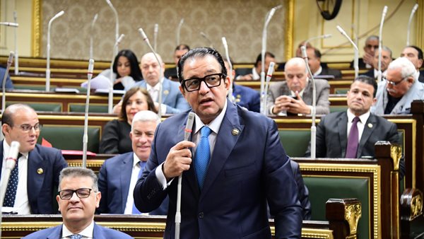 النائب علاء عابد