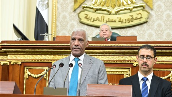 مجلس النواب