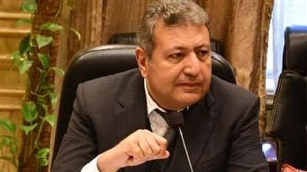 النائب طارق شكري