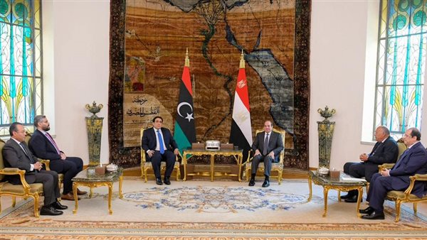 لقاء الرئيس عبدالفتاح