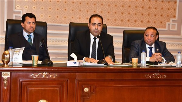 لجنة الشباب والرياضة