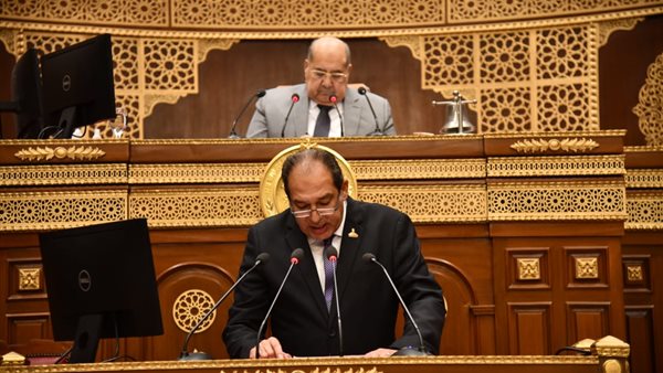 النائب حسام الخولي