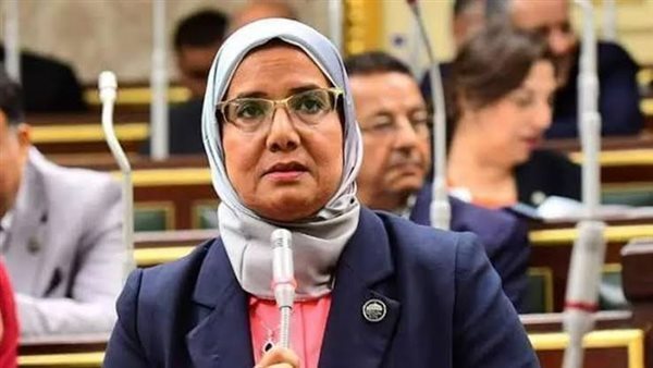 النائبة أمنية رجب