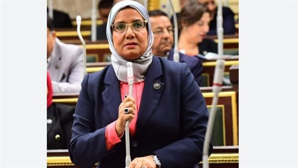 النائبة أمنية رجب