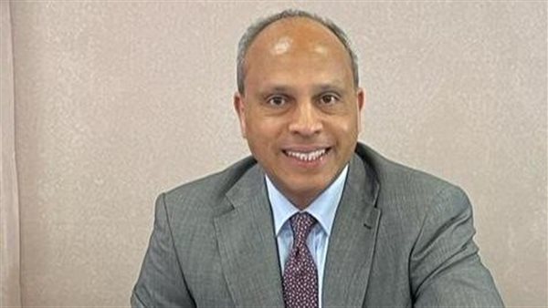 المستشار رضا صقر