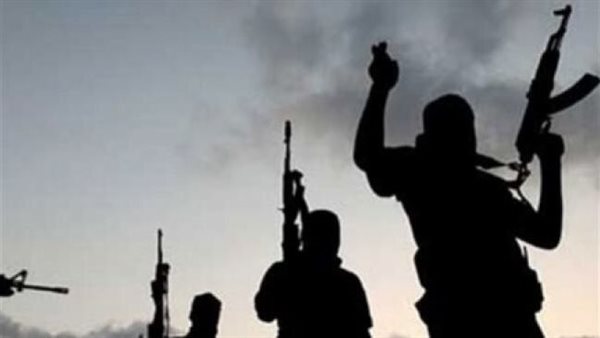 عناصر ارهابية