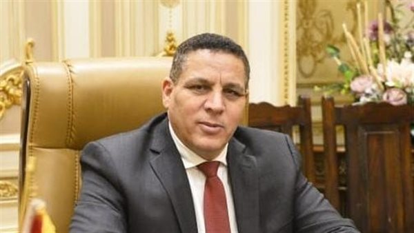 النائب أحمد محسن