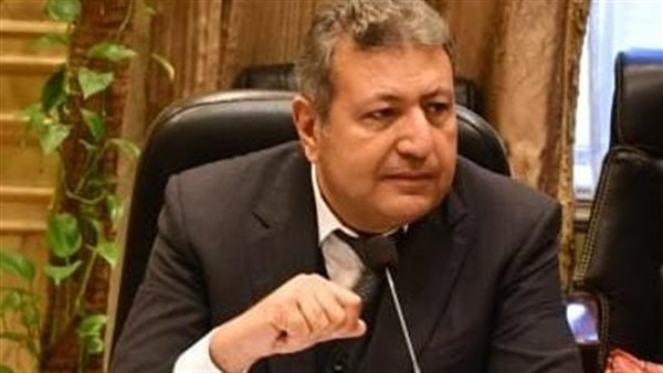 النائب طارق شكري