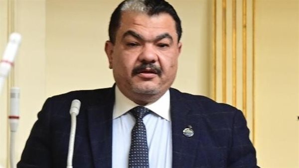 النائب يوسف الشاذلي