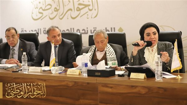 النائبة أميرة صابر