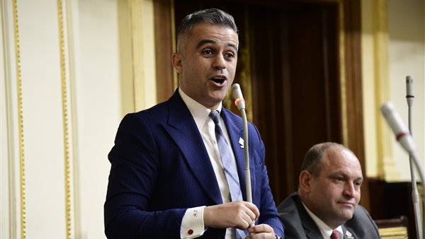  النائب أحمد فتحي