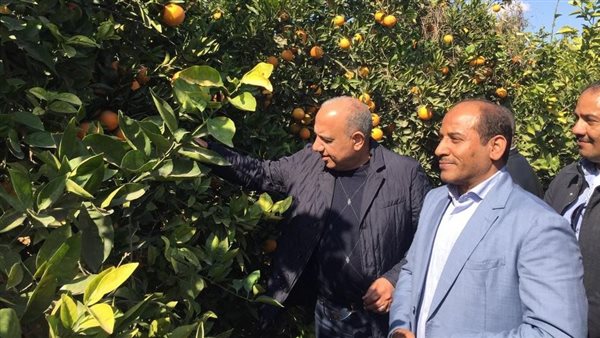 من داخل مزرعة الصالحية