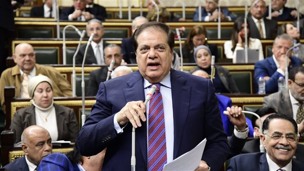 النائب محمد أبو العينين