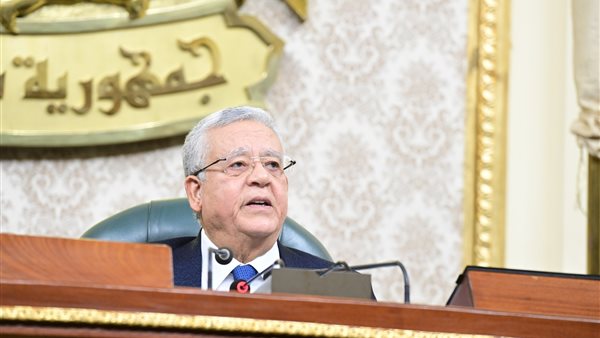 المستشار الدكتور