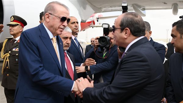 الرئيس السيسي ونظيره