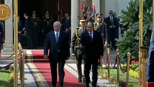 الرئيس السيسى ورئيس