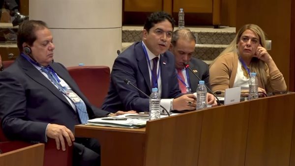 النائب ضياء الدين