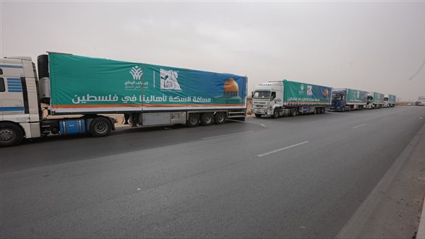 المساعدات المصرية