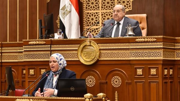 نائب رئيس الهيئة