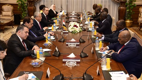 جبالي يستقبل رئيس