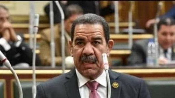  النائب حمدى حسن