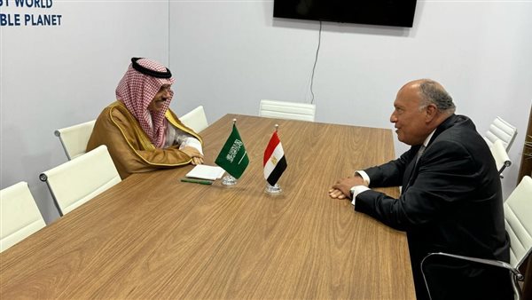 وزير الخارجية ونظيره