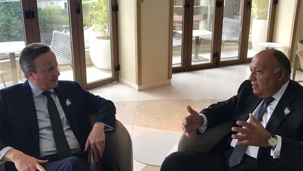 سامح شكري - ديفيد